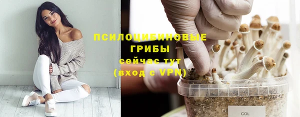 крисы Каменногорск