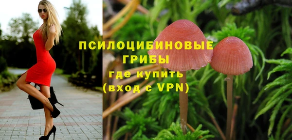 трава Кинешма