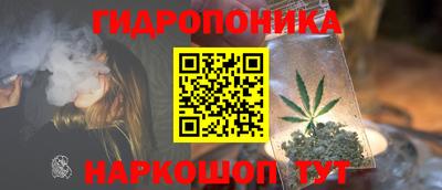 apvp Чебаркуль