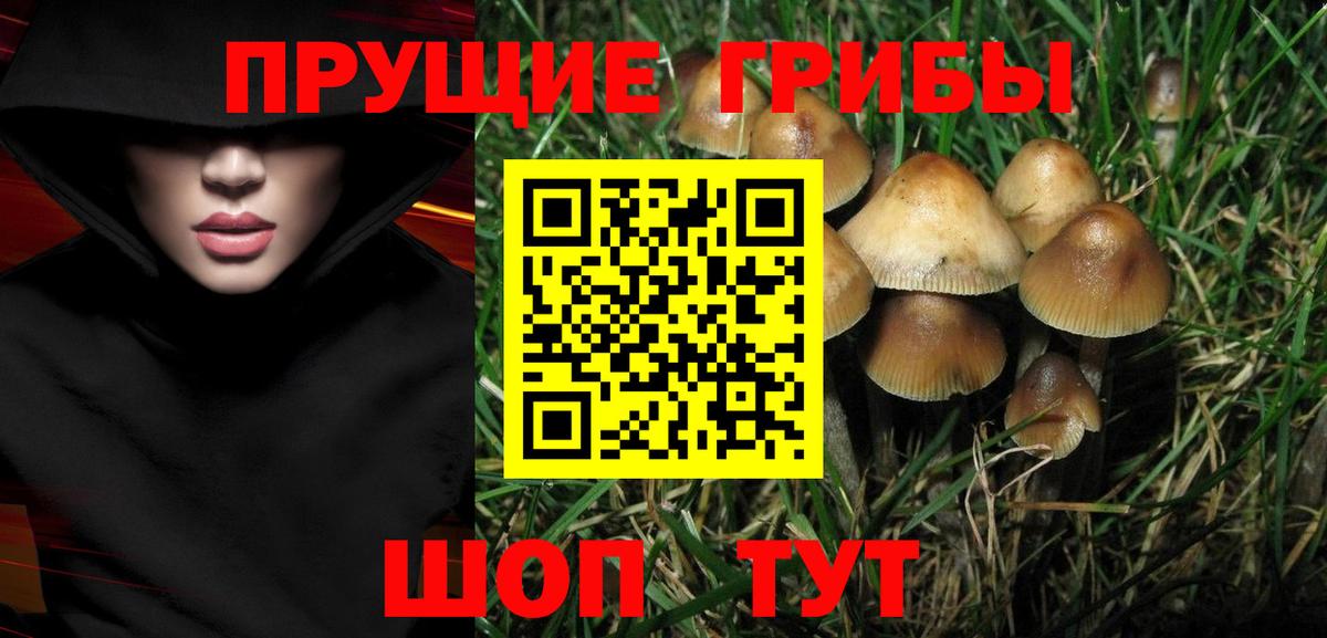 Галлюциногенные грибы Psilocybe  Вход с VPN  Моршанск 