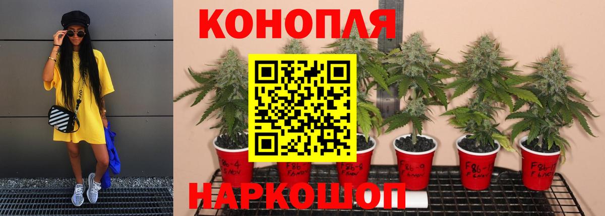 Конопля THC 21% Моршанск